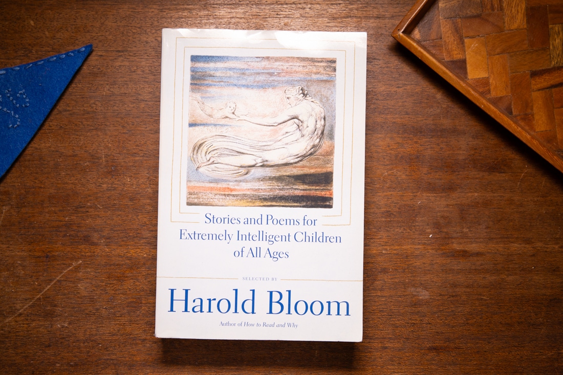 Stories and Poems for Extremely Intelligent Children of All Ages by Harold Bloom