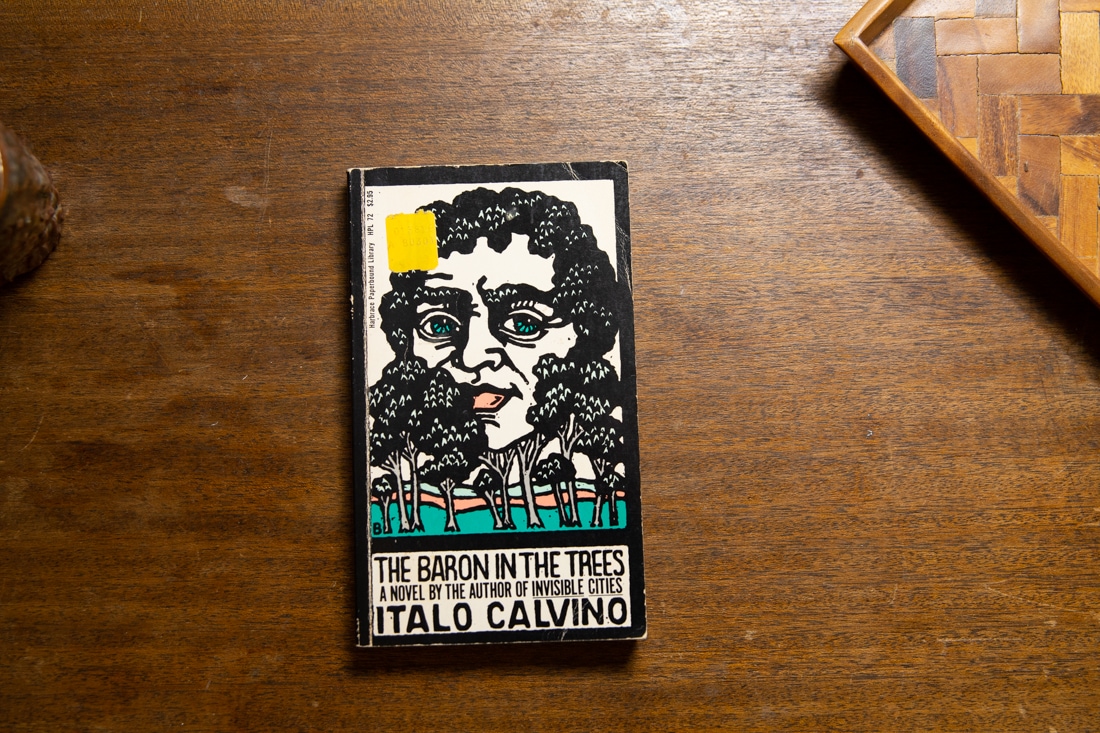 The Baron In The Trees by Italo Calvino