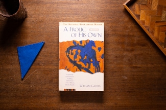 A Frolic of HIs Own cover