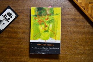 A Little Larger Than The Entire Universe cover