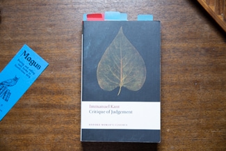 Critique of Judgement cover