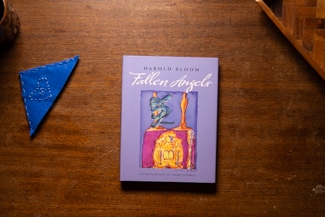 Fallen Angels cover