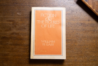 Fiction and the Figures of Life cover