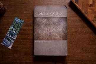 Giorgio Agamben - A Critical Introduction cover