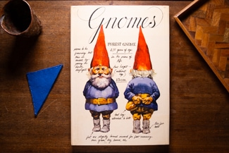 Gnomes cover