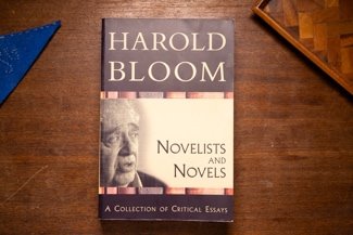 Novelists and Novels cover