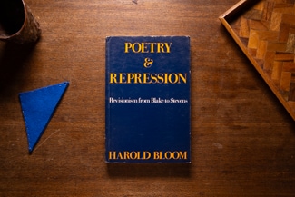 Poetry & Repression cover