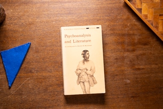 Psychoanalysis and Literature cover