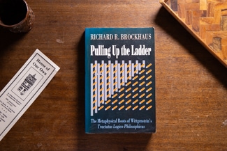 Pulling Up The Ladder cover