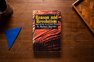 Reason and Revolution cover