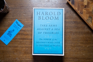 Take Arms Against a Sea of Troubles cover