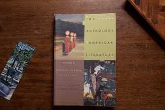 The Heath Anthology of American Literature Volume D cover