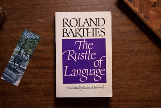 The Rustle of Language cover