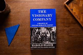 The Visionary Company cover