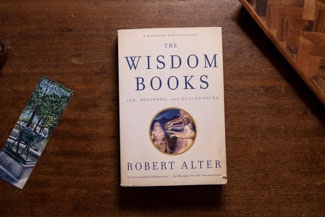 The Wisdom Books cover