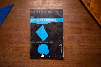 Three Exemplary Novels cover