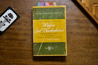 Walden & Civil Disobedience cover