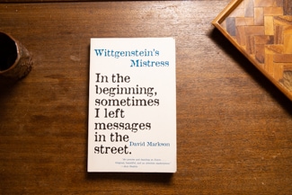 Wittgenstein's Mistress cover